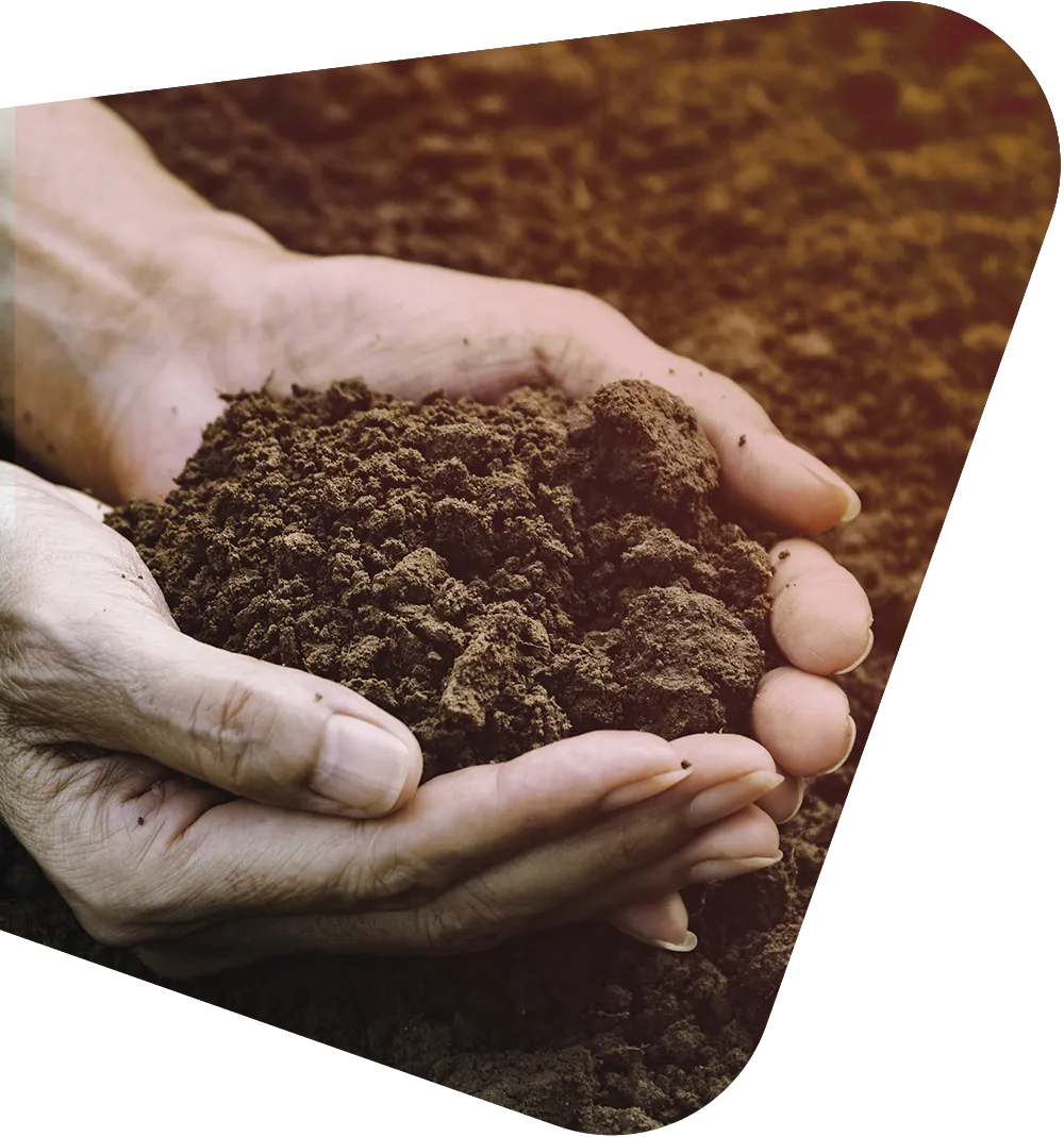Venta y aplicación de fertilizantes orgánicos naturales