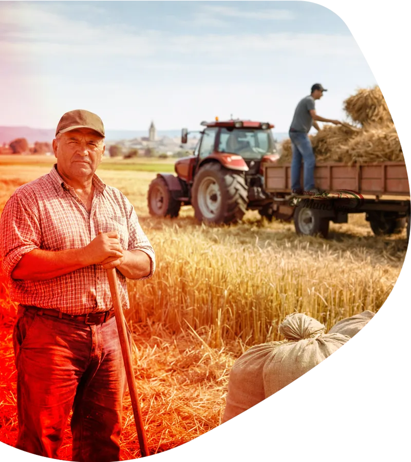 Cañadas El Manchego Transporte agrícola a granel y operativa portuaria